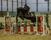 Lucky della Verdina TosTour2013- S5 3235 : Arezzo, Arezzo Equestrian Centre, Cavalli d'Italia, Lucky della Verdina, Toscana Tour 2013, foto di Stefano Secchi ©